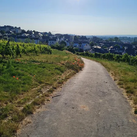 Am Markt Rüdesheim am Rhein