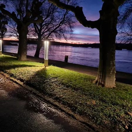 Am Markt 公寓 吕德斯海姆