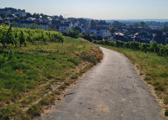 Am Markt Ruedesheim am Rhein